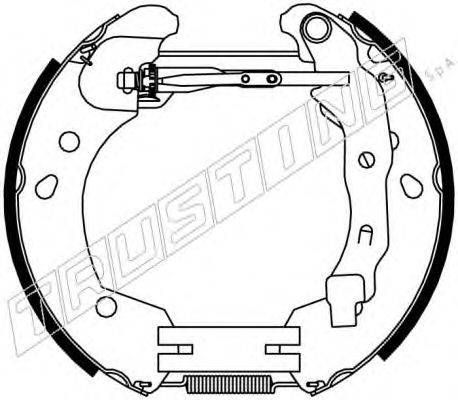 Комплект гальмівних колодок TRUSTING 6396