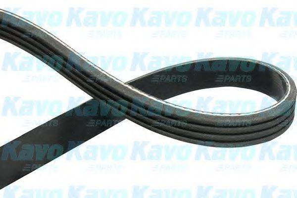 Полікліновий ремінь KAVO PARTS DMV-3022