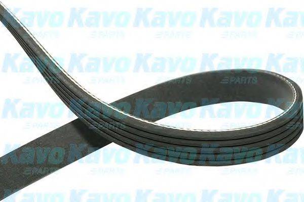 KAVO PARTS DMV5523 Полікліновий ремінь