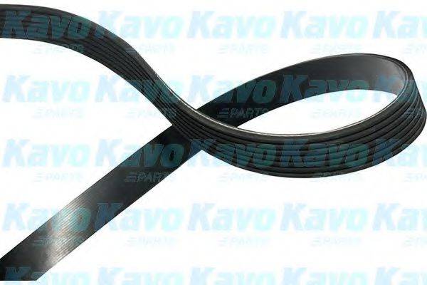 KAVO PARTS DMV6535 Полікліновий ремінь