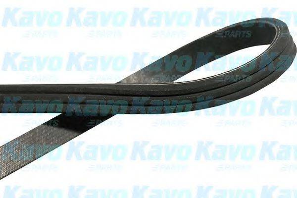 KAVO PARTS DMV8003 Полікліновий ремінь