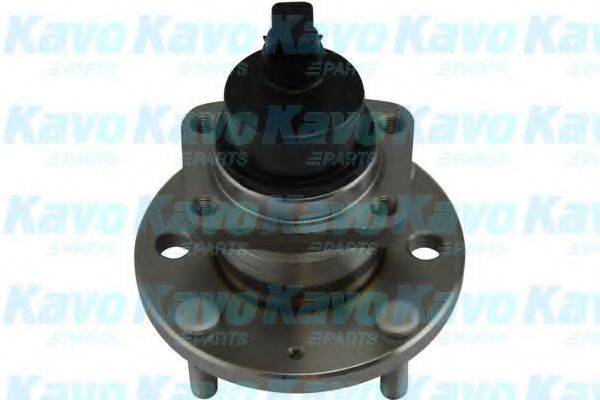 KAVO PARTS WBH1002 Комплект підшипника ступиці колеса