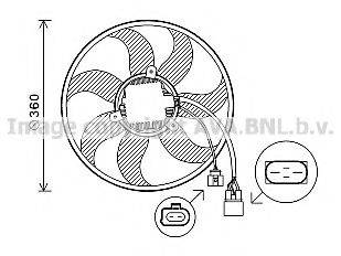 AVA QUALITY COOLING VW7537 Вентилятор, охолодження двигуна