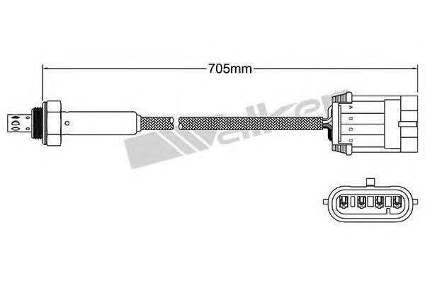 WALKER PRODUCTS 25024806 Лямбда-зонд