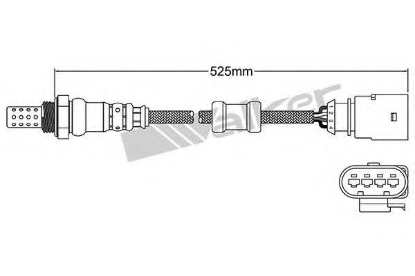 WALKER PRODUCTS 25024699 Лямбда-зонд