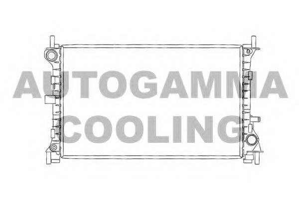 AUTOGAMMA 102072 Радіатор, охолодження двигуна