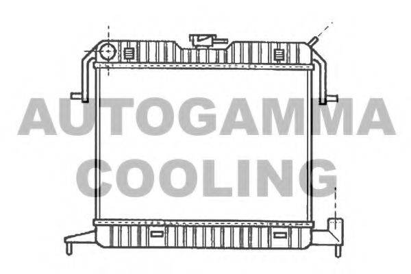 AUTOGAMMA 102233 Радіатор, охолодження двигуна