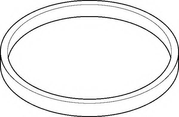 WILMINK GROUP WG1195575 Прокладка, корпус впускного колектора