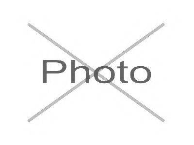 CTE CBH28008R Підвіска, важіль незалежної підвіски колеса